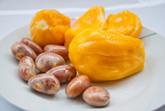 Dilarang Asal-asalan, Ini 4 Kelompok Orang yang Pantang Makan Buah dan Biji Nangka