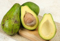 Pecinta Buah Alpukat Wajib Tahu, Ini Manfaat Mengonsumsinya dengan Rutin!