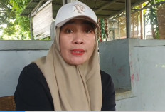 Buktikan Ijazah Asli, Satu P3K Paruh Waktu di Bengkulu Dinyatakan Memenuhi Syarat