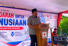 Peringati Hari Donor Darah Sedunia, Pemprov Bengkulu Beri Penghargaan Khusus untuk Pendonor 50 Kali