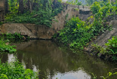 Petani Keluhkan Air Macet, Pemkab Bengkulu Selatan Lobi Pusat Benahi Tebat Baghu