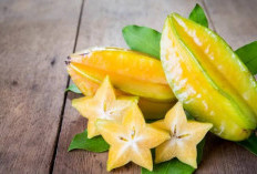 Ketahui Ragam Manfaat Mengonsumsi Buah Belimbing dengan Rutin, Bikin Imun Tubuh Meningkat 