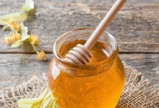 Berlebihan Bisa Meningkatkan Asupan Gula, Cek 7 Efek Samping Madu bagi Kesehatan