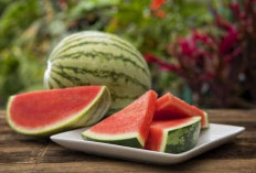 5 Manfaat Konsumsi Buah Semangka Secara Rutin, Dipercaya Ampuh Cegah Sembelit 