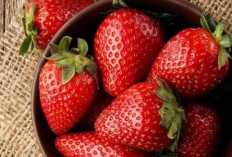 Secukupnya, Cek Efek Samping Konsumsi Strawberry bagi Kesehatan, Hati-hati Berlebihan
