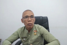 196 Ribu Data Bansos Kota Bengkulu Diverifikasi Ulang, Warga Mampu Bakal Dicoret dari DTKS