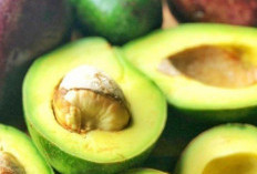 Bisa Bantu Menjaga Kelembapan, Ini Makanan yang Baik untuk Kesehatan Kulit