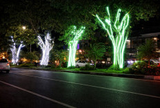 Percantik Wajah Kota, Pemkot Bengkulu Pasang 35 Unit Lampu Hias di Jalan Jenderal Sudirman