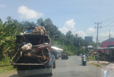 Cegah Tragedi di Jalan, Satlantas Polres Seluma Tindak Tegas Mobil Bak Terbuka Berpenumpang