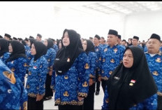 Menunggu Juknis Pusat, Pemkot Bengkulu Belum Bisa Pastikan THR bagi PPPK Paruh Waktu