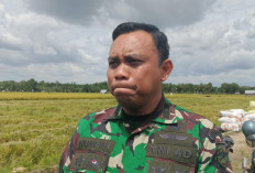 TMMD ke-128 di Seluma Dibuka 22 April, Fokus pada Pembukaan Jalan dan Bedah Rumah