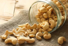 Inilah Efek Samping Berbahaya dari Mengonsumsi Kacang Mete Berlebihan, Cek!
