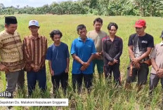 HUT RI ke-81 Jadi Momentum Petani, Buruh dan Mahasiswa Bengkulu Dorong Kemajuan Negeri