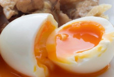 Cek di Sini! Makanan yang Perlu Dihindari Ibu Hamil, Baik untuk Kesehatan Ibu dan Janin
