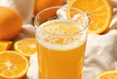 Mudah Dibuat di Rumah, 7 Minuman Sehat untuk Daya Tahan Tubuh yang Perlu Dikonsumsi Sehari-hari 