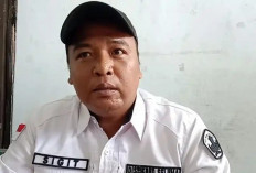 Momentum Hardiknas 2026, 80 Persen SD di Seluma Sukses Adopsi Kurikulum Merdeka