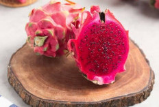 Tak Kalah dengan Jenis Buah Lainnya, Ini Dia Fakta Unik yang Terdapat pada Buah Naga