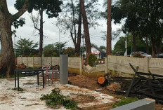 Pohon Tumbang di Lapangan Golf Memakan Korban, Satu Petugas Caddy Meninggal Dunia
