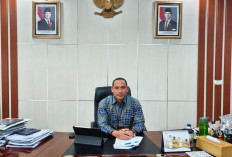 Pengadaan Beras BULOG Bengkulu Lampaui Target 2026