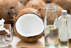 Cek di Sini! Bahan Alami untuk Perawatan Rambut, Mudah Ditemukan dan Praktis Digunakan
