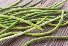 6 Manfaat Kacang Panjang untuk Kesehatan Wanita, Nomor 1 Ampuh Redakan Nyeri Haid