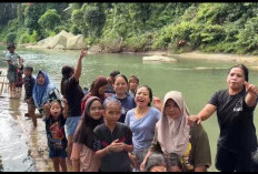 Lebih dari 2.000 Wisatawan Serbu Ikan Larangan Taba Lubuk Puding, Seluma Siap Punya Ikon Wisata Baru