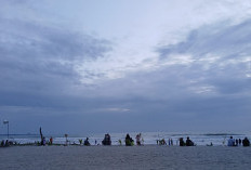 Perjalanan Wisata ke Bengkulu Tembus 624 Ribu di Januari 2026, Kota Bengkulu Paling Sering Dikunjungi