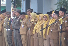 Ratusan ASN Pensiun, BKD Provinsi Bengkulu Lakukan Penataan Ulang Pegawai