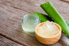 Atasi Pori-pori Membandel dengan Masker Lidah Buaya, Cek Cara Lainnya Disini!
