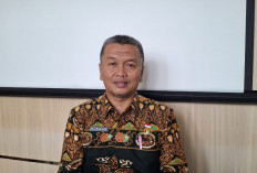 Didominasi Sektor Kehutanan, Realisasi Investasi Bengkulu Hingga Triwulan III Capai Rp2,33 Triliun