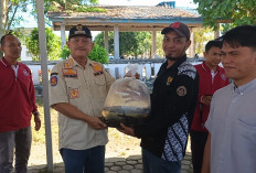 Solusi Lahan Sempit, 4 Kelompok Masyarakat di Bengkulu Selatan Dapat Bantuan Budikdamber