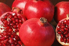 Cek di Sini! Efek Samping Buah Delima bagi Kesehatan, Bisa Sebabkan Gangguan Pencernaan 