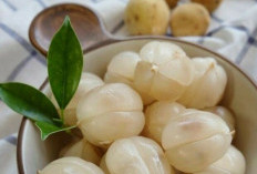 Hati-hati Berlebihan, Ini Efek Samping Buah Duku bagi Kesehatan, Bisa Sebabkan Perut Kembung 