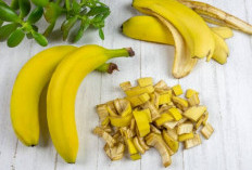 Ini Dia Manfaat Istimewa Kulit Pisang untuk Dunia Kecantikan, Dipercaya Ampuh Mencerahkan Wajah