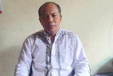 Gaji Merosot Tajam, Sejumlah Kades di Seluma Dikabarkan Frustrasi Hingga Ingin Mundur