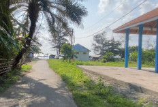 Pokdarwis Usulkan Penambahan Fasilitas, Pantai Pasar Bawah Diproyeksikan Jadi Pusat Wisata Keluarga