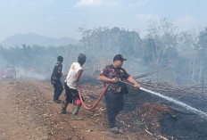Api Melahap 3 Hektare Lahan Perkebunan di Taba Penanjung, Warga Diimbau Waspada Musim Kemarau
