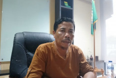 Rencana Pinjaman Pemprov ke Bank BJB Belum Masuk, DPRD Bengkulu: Masih Sebatas Wacana
