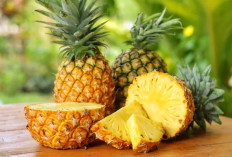 Dipercaya Ampuh Cegah Flu, Ini 7 Manfaat Nanas untuk Kesehatan 