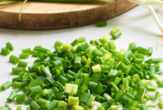 Cek Manfaat Daun Bawang yang Perlu Diketahui Ini! Bisa Menjaga Daya Tahan Tubuh