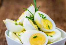 Baik untuk Tubuh! 7 Makanan yang Punya Kandungan Protein Tinggi
