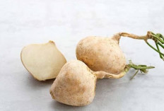 Bahan Alami Produk Kecantikan, Inilah Manfaat Istimewa Bengkoang Bagi Kulit