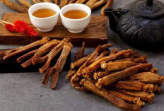 Sudah Tahu Belum? Ini 5 Kandungan Ginseng dan Manfaatnya untuk Kesehatan Rambut