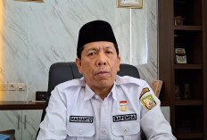 Kantongi Rp16,66 Miliar dari PKB Mei 2026, Program Pemutihan Sukses Sadarkan Wajib Pajak Bengkulu