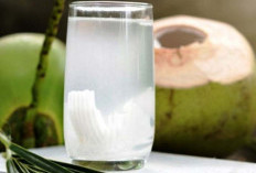Selain Air Putih, Ini Rekomendasi Minuman Sehat yang Baik untuk Lambung, Cocok Dikonsumsi Sehari-hari