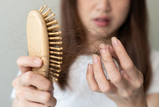 Cek Disini, Rekomendasi Produk Shampo yang Bagus untuk Atasi Rambut Rontok