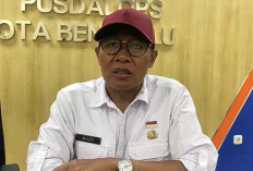 23 Titik Wilayah Kota Bengkulu Terdampak Angin Kencang, 14 Pohon Tumbang, 9 Rumah Rusak