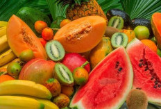 Berikut 7 Daftar Buah yang Bagus untuk Kesehatan Lambung, Aman Dikonsumsi Ya!