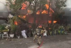 Kebakaran Hebat di Cempaka Permai: Rumah Pensiunan ASN Tak Tersisa, Pemilik Alami Luka Bakar