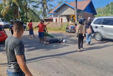 Gagal Salip Fuso di Tikungan Bengkulu Tengah, Mahasiswi Asal Kepahiang Meninggal di Tempat